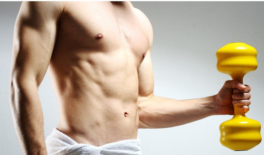 Ectomorphe