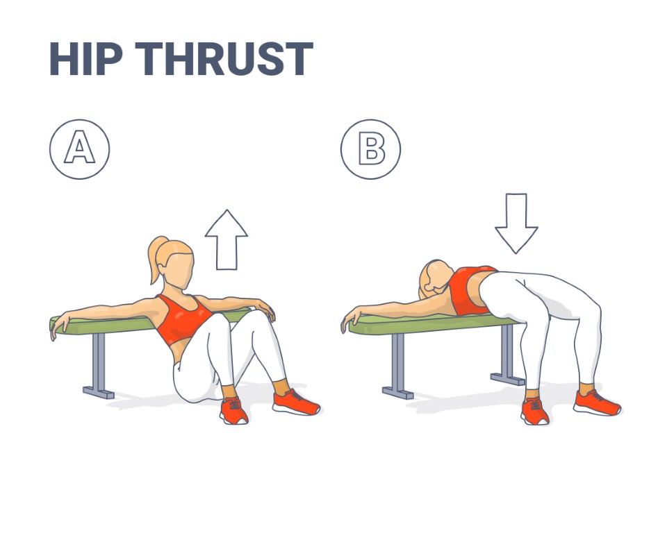 Schéma du mouvement hip thrust en musculation